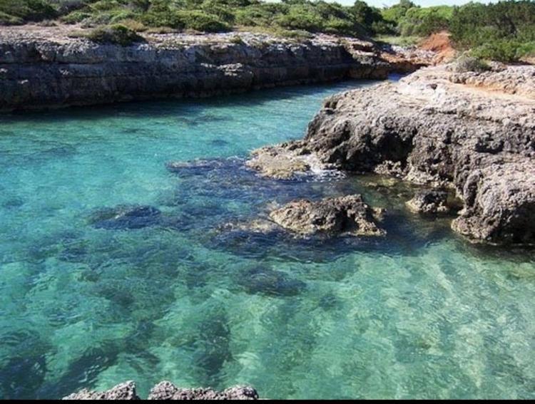 Villa Giovanna Villanova di Ostuni Exteriör bild